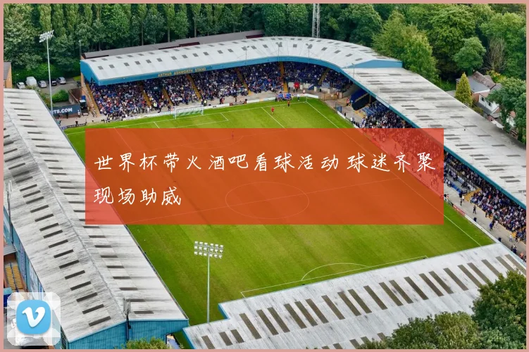 世界杯带火酒吧看球活动 球迷齐聚现场助威