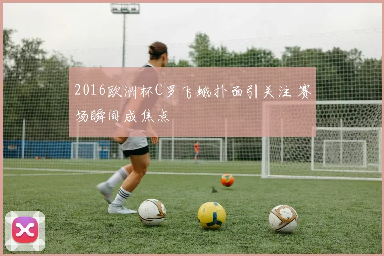 2016欧洲杯C罗飞蛾扑面引关注 赛场瞬间成焦点