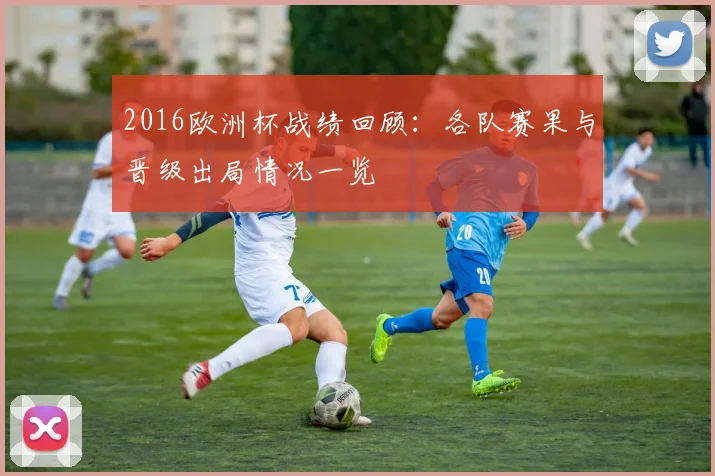 2016欧洲杯战绩回顾：各队赛果与晋级出局情况一览