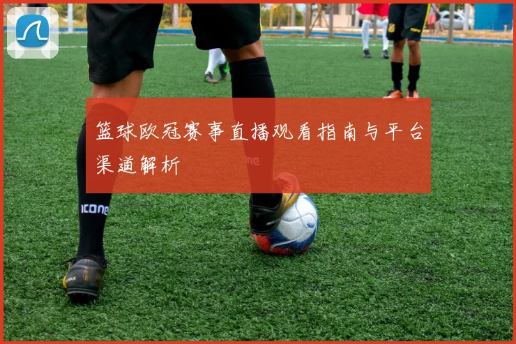 篮球欧冠赛事直播观看指南与平台渠道解析